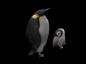 Penguin With Baby Penguin 3D Model