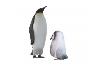 Penguin With Baby Penguin Modèle 3D