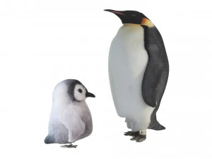 Penguin With Baby Penguin 3D Model