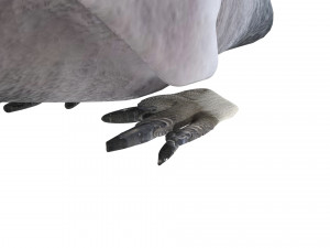 Penguin With Baby Penguin Modèle 3D