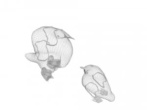 Penguin With Baby Penguin 3D Model