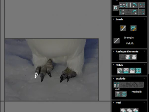 Penguin With Baby Penguin 3D Model