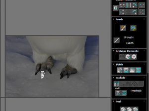 Penguin With Baby Penguin Modèle 3D