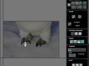 Penguin With Baby Penguin 3D Model