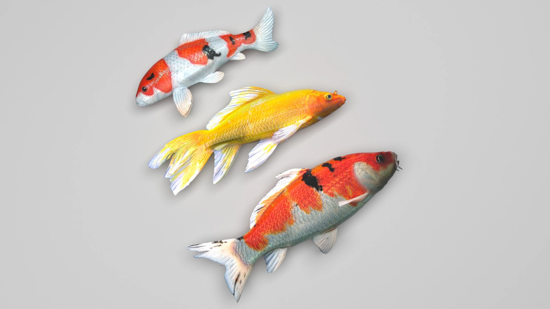 Fishes Set 3D Model .c4d .max .obj .3ds .fbx .stl .blend 