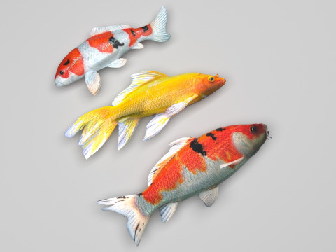 Fishes Set 3D Model