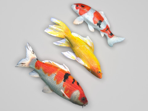 Fishes Set Modèle 3D