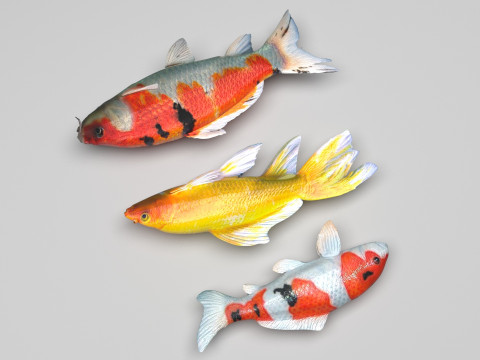 Fishes Set Modèle 3D