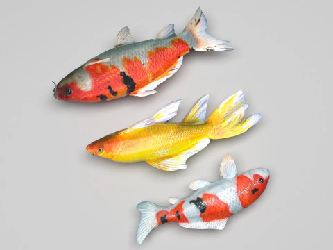 Fishes Set 3D Model
