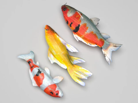 Fishes Set 3D Model