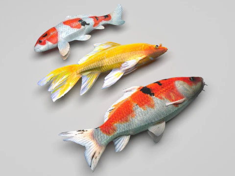Fishes Set 3D Model
