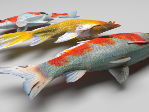 Fishes Set Modèle 3D