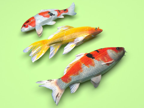 Fishes Set Modèle 3D