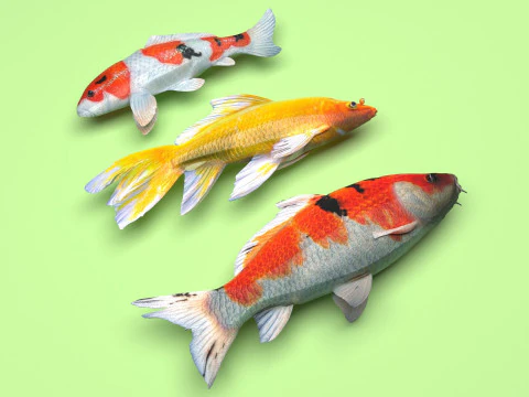 Fishes Set 3D Model