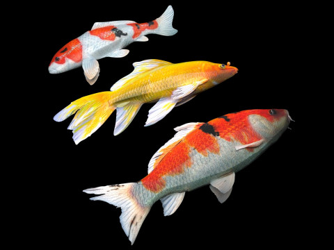 Fishes Set Modèle 3D