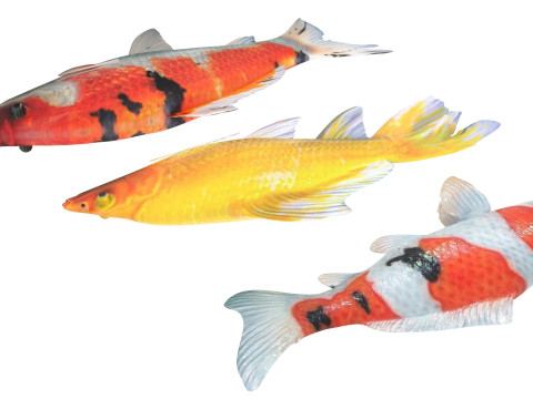 Fishes Set Modèle 3D