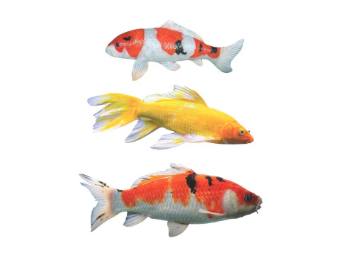 Fishes Set 3D Model