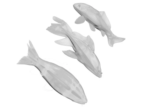 Fishes Set 3D Model