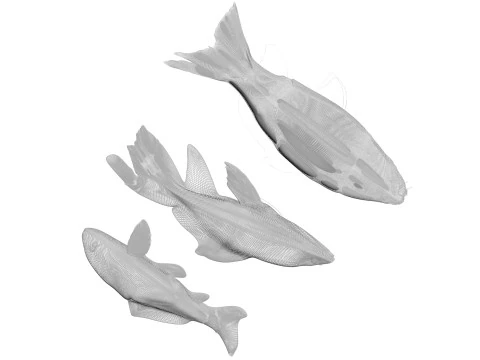 Fishes Set 3D Model
