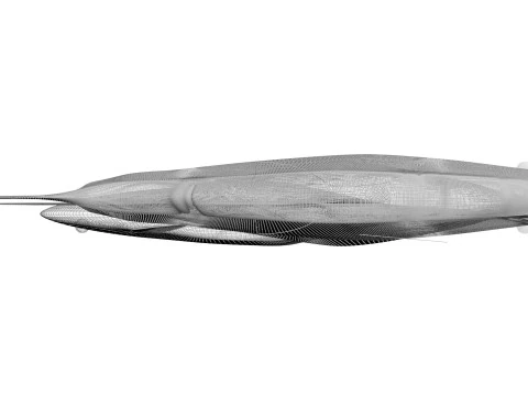 Fishes Set 3D Model