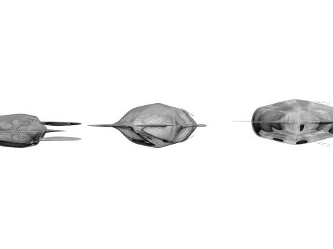 Fishes Set Modèle 3D
