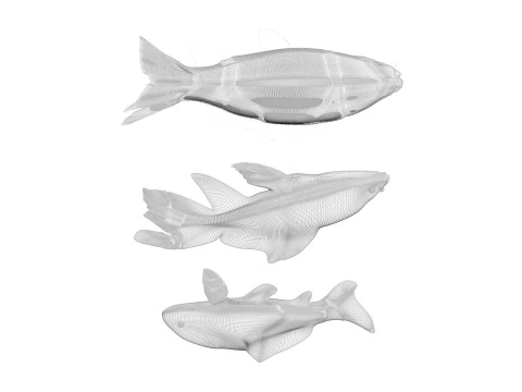 Fishes Set 3D Model