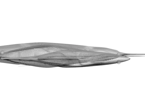 Fishes Set 3D Model