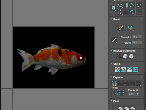 Fishes Set Modèle 3D