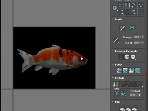 Fishes Set 3D Model