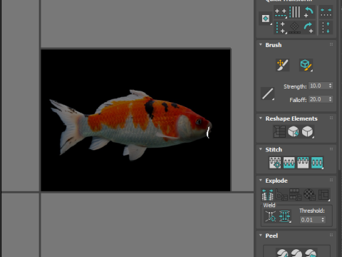 Fishes Set Modèle 3D