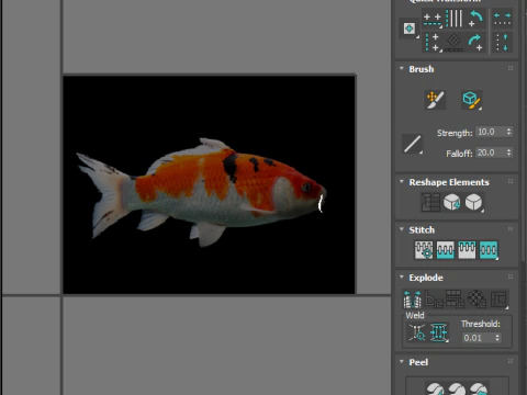 Fishes Set 3D Model