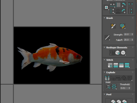 Fishes Set Modèle 3D