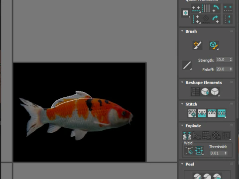 Fishes Set 3D Model