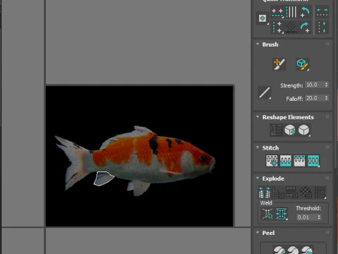 Fishes Set 3D Model