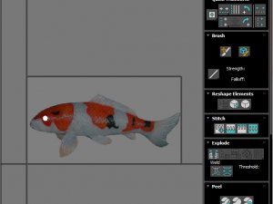 Fishes Set Modèle 3D