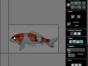 Fishes Set 3D Model