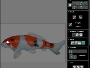 Fishes Set 3D Model