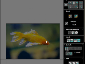 Fishes Set 3D Model
