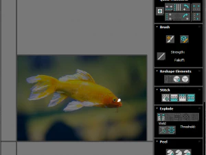 Fishes Set 3D Model