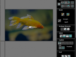 Fishes Set Modèle 3D