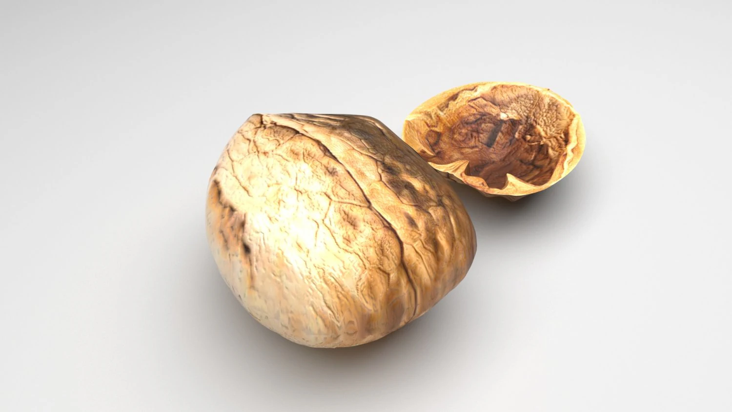 Walnut Shell 3D Model .c4d .max .obj .3ds .fbx .stl .blend 