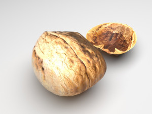 Walnut Shell 3Dモデル