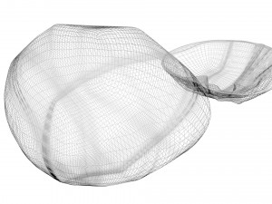Walnut Shell 3D Model