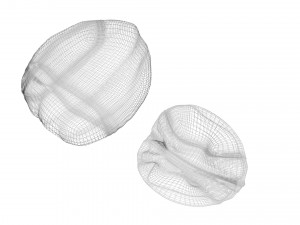 Walnut Shell 3D Model