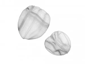 Walnut Shell 3D Model