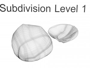 Walnut Shell 3D Model