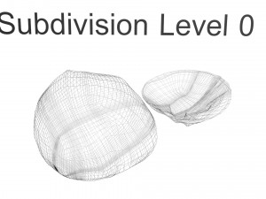 Walnut Shell 3D Model