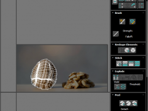 Walnut Shell 3D Model