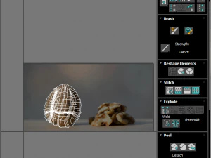 Walnut Shell 3D Model