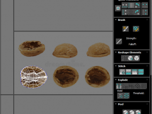 Walnut Shell 3D Model